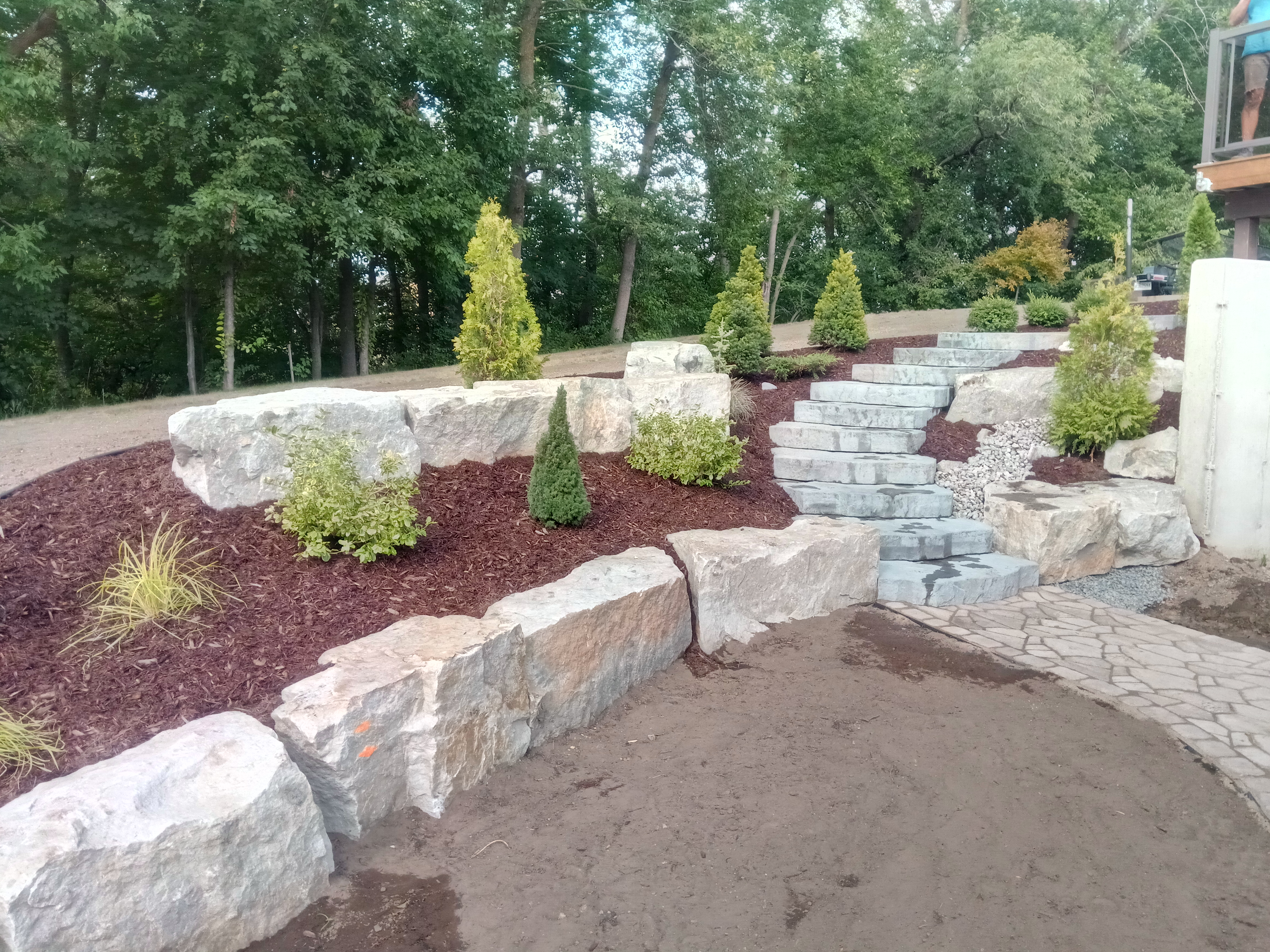 plantation, shrubs and landscaping designs, DESIGN AND PROFESSIONNAL PLANIFICATION